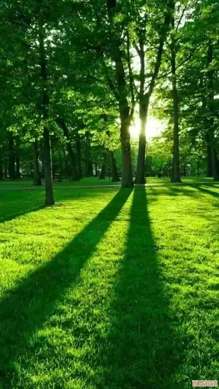 打造专属微信聊天背景的详细图文教程指南 打造专属微信聊天背景的详细图文教程指南