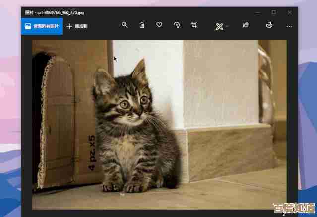 Win11系统截图位置设置教程：快速找到并修改存储文件夹