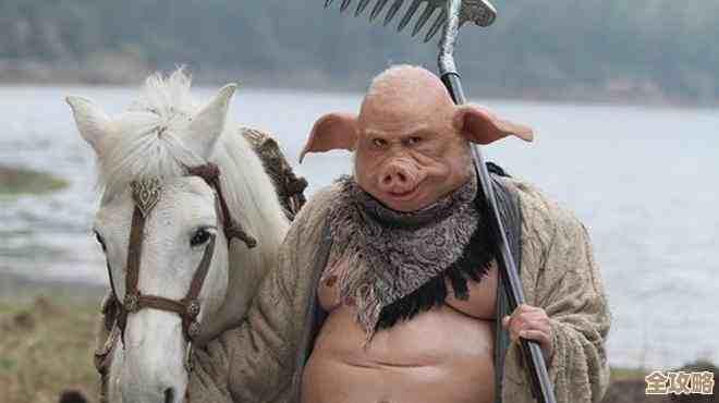 Windows 11 不同版本核心差异及适用场景全解析