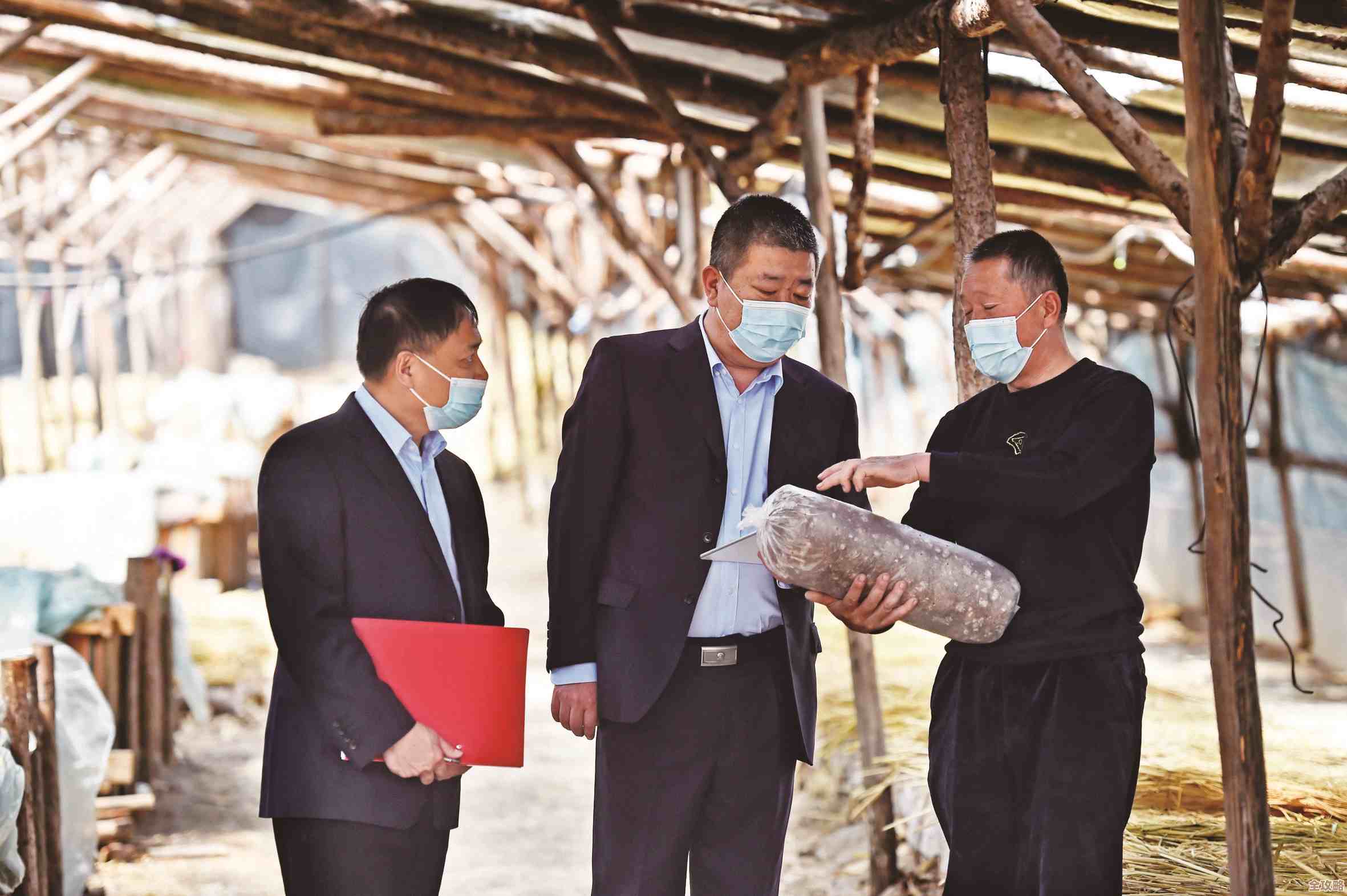 深耕乡村金融服务，山东农信助力农民增收与农村经济繁荣