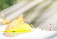 女生必备精美QQ头像合集,提升你的在线风采! 女生必备精美QQ头像合集,提升你的在线风采!