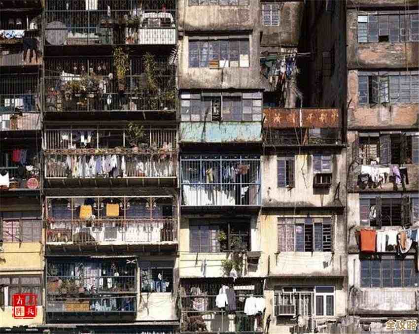 Windows 11更新提示突然消失引发用户广泛疑问