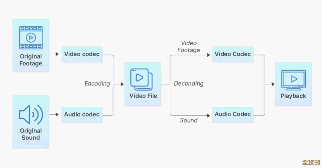 视频格式全解析：掌握常见格式特性与应用场景