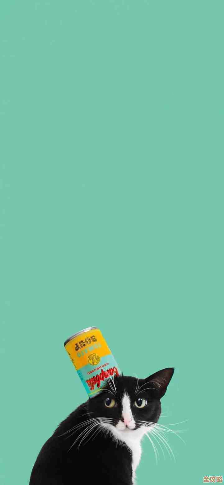 精选高清手机壁纸大全,每日更新个性化背景图片! 精选高清手机壁纸大全,每日更新个性化背景图片!