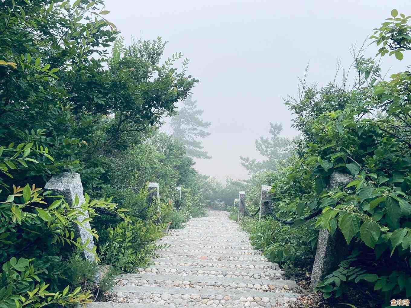 2020年显卡与CPU性能天梯图：全面硬件升级选购指南