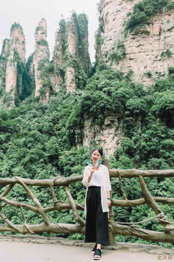 2020年显卡与CPU性能天梯图:全面硬件升级选购指南 2020年显卡与CPU性能天梯图:全面硬件升级选购指南