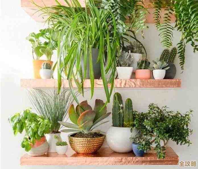 电脑运行缓慢怎么办?这些提速方法让您的设备重获新生 电脑运行缓慢怎么办?这些提速方法让您的设备重获新生