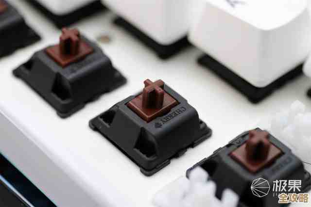 机械键盘轴体全解析：探索各类轴型的独特手感与差异