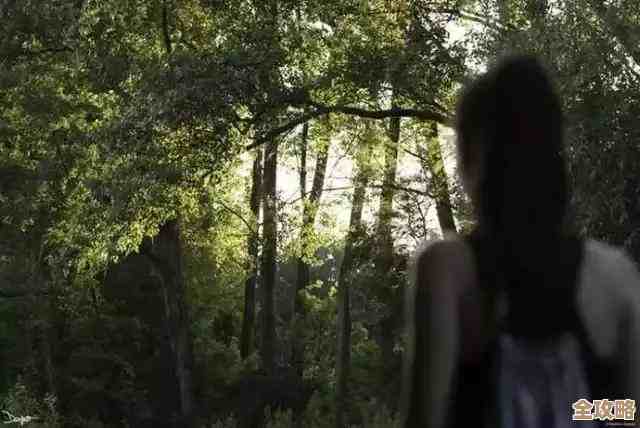 系统还原技术:安全恢复丢失数据,轻松回到过去时刻 系统还原技术:安全恢复丢失数据,轻松回到过去时刻