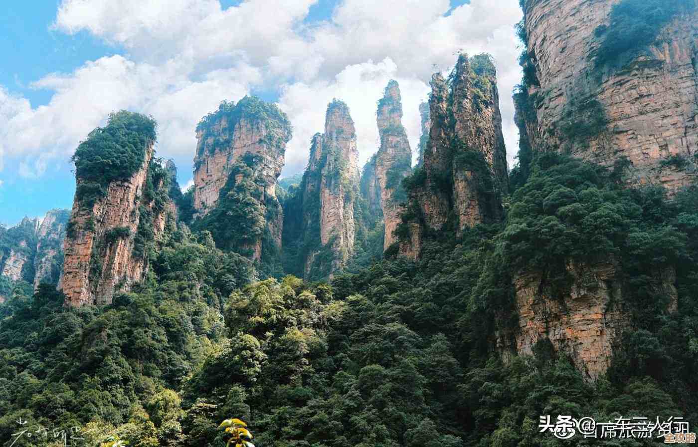 摄影装备天梯指南：优选单反相机，轻松突破创作瓶颈