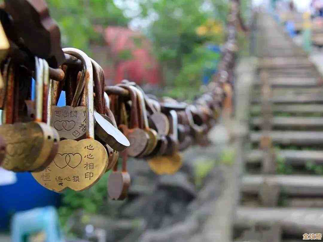 如何读懂相机天梯图：从入门到专业的设备选择秘籍