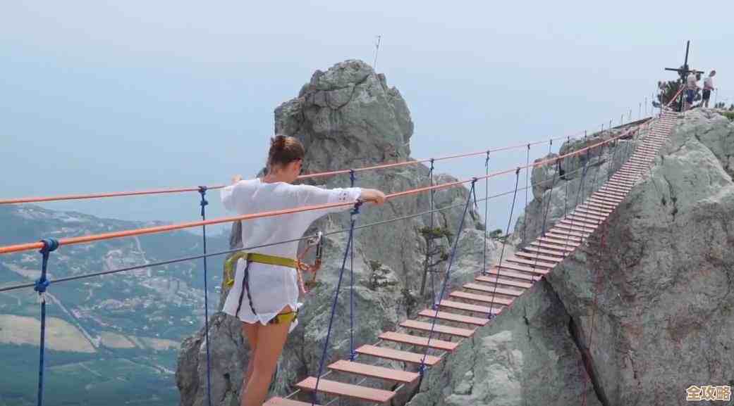 如何读懂相机天梯图：从入门到专业的设备选择秘籍