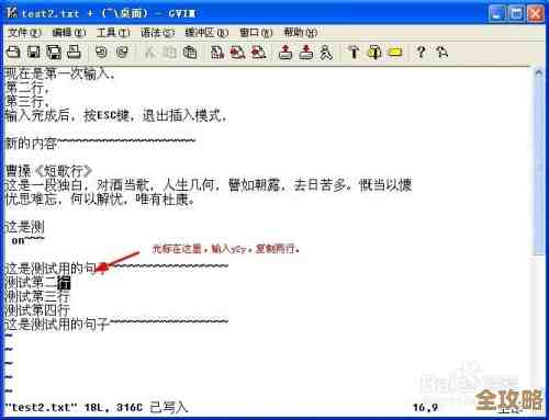 复制快捷键操作指南：高效工作不可或缺的关键技巧