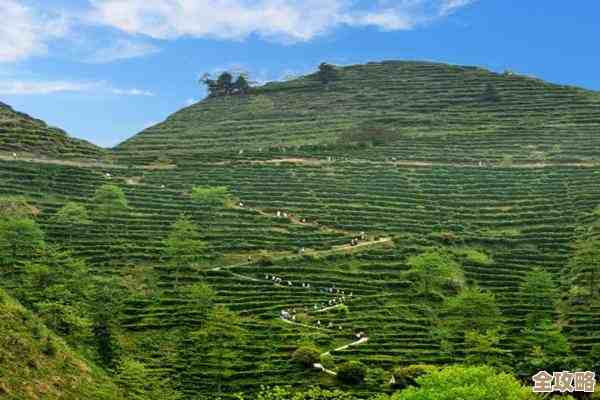 2022年最新CPU性能天梯图出炉,处理器排名一目了然 2022年最新CPU性能天梯图出炉,处理器排名一目了然