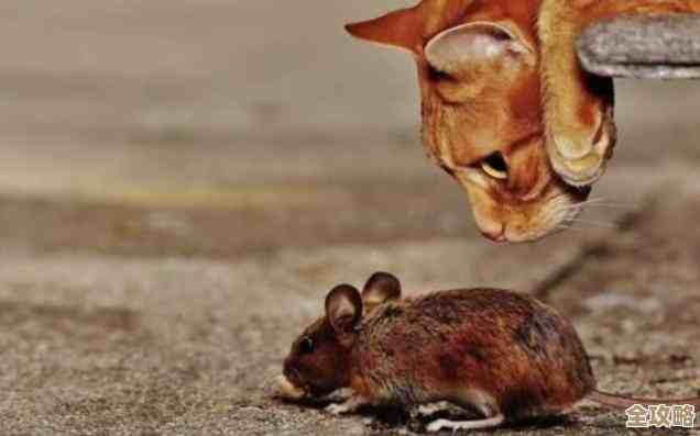 选择赫兹音响,享受卓越音质带来的震撼与沉浸式听觉盛宴 选择赫兹音响,享受卓越音质带来的震撼与沉浸式听觉盛宴