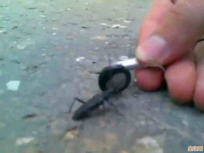 选择赫兹音响，享受卓越音质带来的震撼与沉浸式听觉盛宴