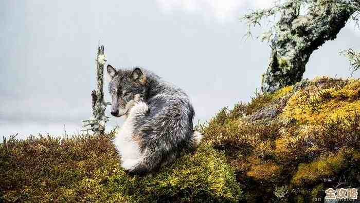 捕捉生活美好瞬间，这些拍照手机值得你拥有！