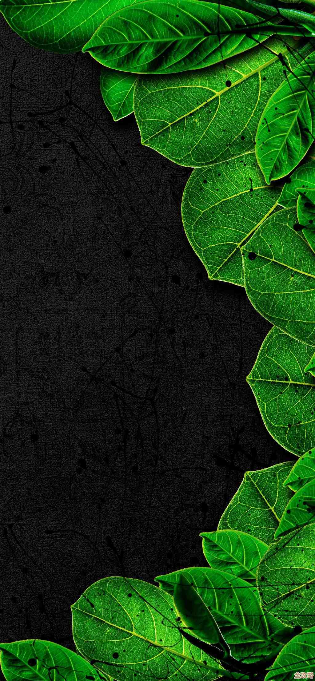 遭遇手机黑屏紧急状况，掌握这些步骤从容化解危机