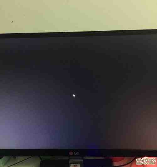 显示器黑屏无法启动？快速排查与自救指南