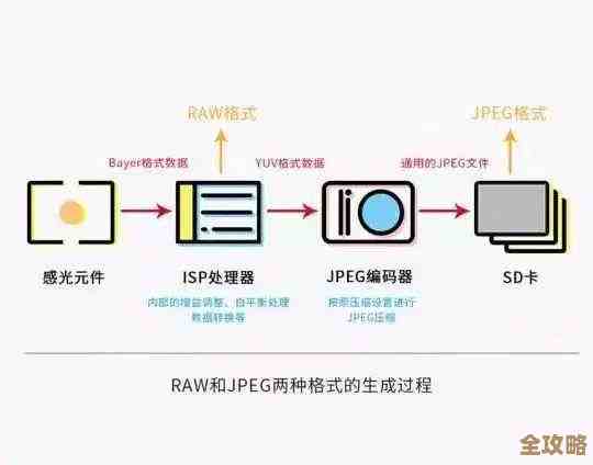 全面了解JPG:格式含义、技术原理及常见用途解析 全面了解JPG:格式含义、技术原理及常见用途解析