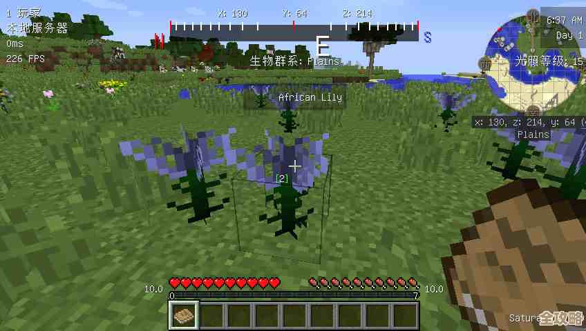 树叶云Minecraft Wiki教程大概说说这东西怎么玩和怎么用的总览介绍