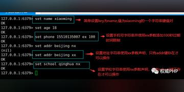 Redis里怎么查某个键下面到底有多少数据啊，想知道数量咋弄？