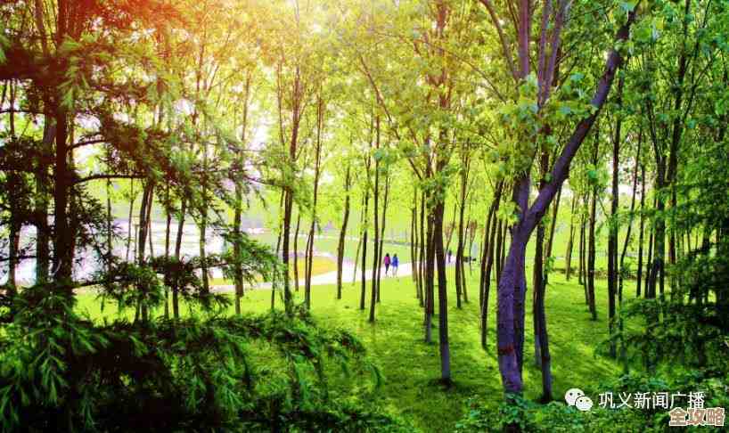 晚安森林里种植的农作物怎么收回,别急我说几招. 晚安森林里种植的农作物怎么收回,别急我说几招.