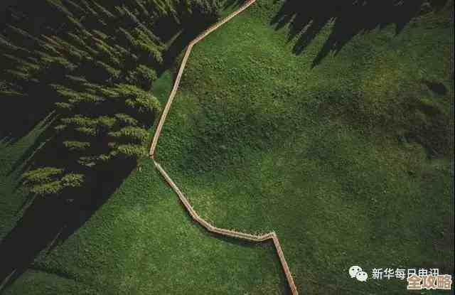 晚安森林里种植的农作物怎么收回,别急我说几招. 晚安森林里种植的农作物怎么收回,别急我说几招.