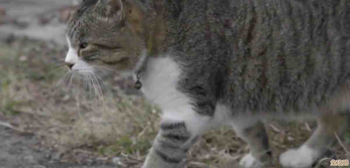 岛民照片怎么弄到？动物之森里那些蹭图小技巧