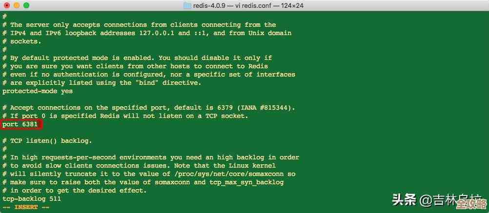 Redis到底能不能持久化啊，听说好像有办法但又不太确定