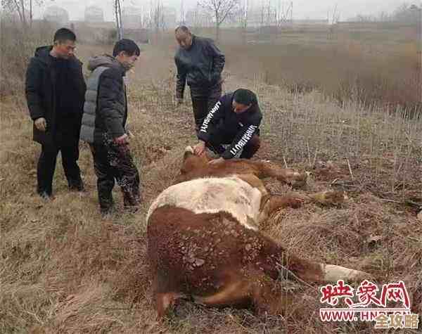 那个小人武器转圈圈的游戏叫什么来着，好玩的武器转圈手游哪里能下