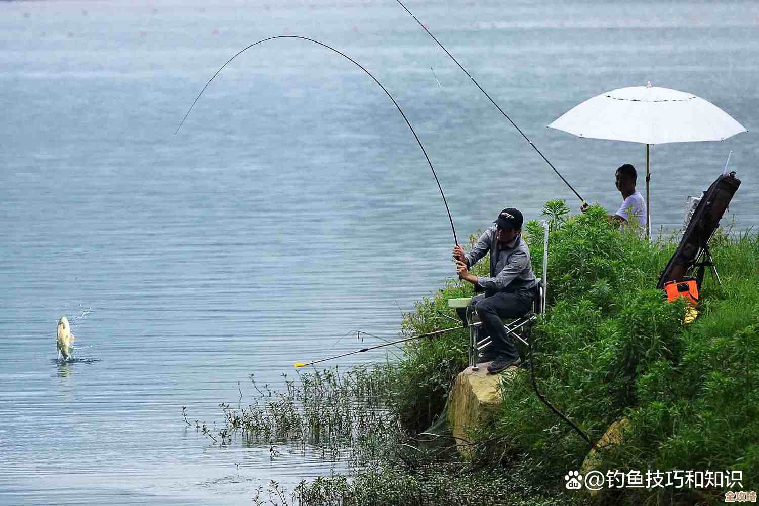 江湖里我和太湖钓鱼的那些事儿,钓鱼技巧和财富秘籍还在摸索 江湖里我和太湖钓鱼的那些事儿,钓鱼技巧和财富秘籍还在摸索