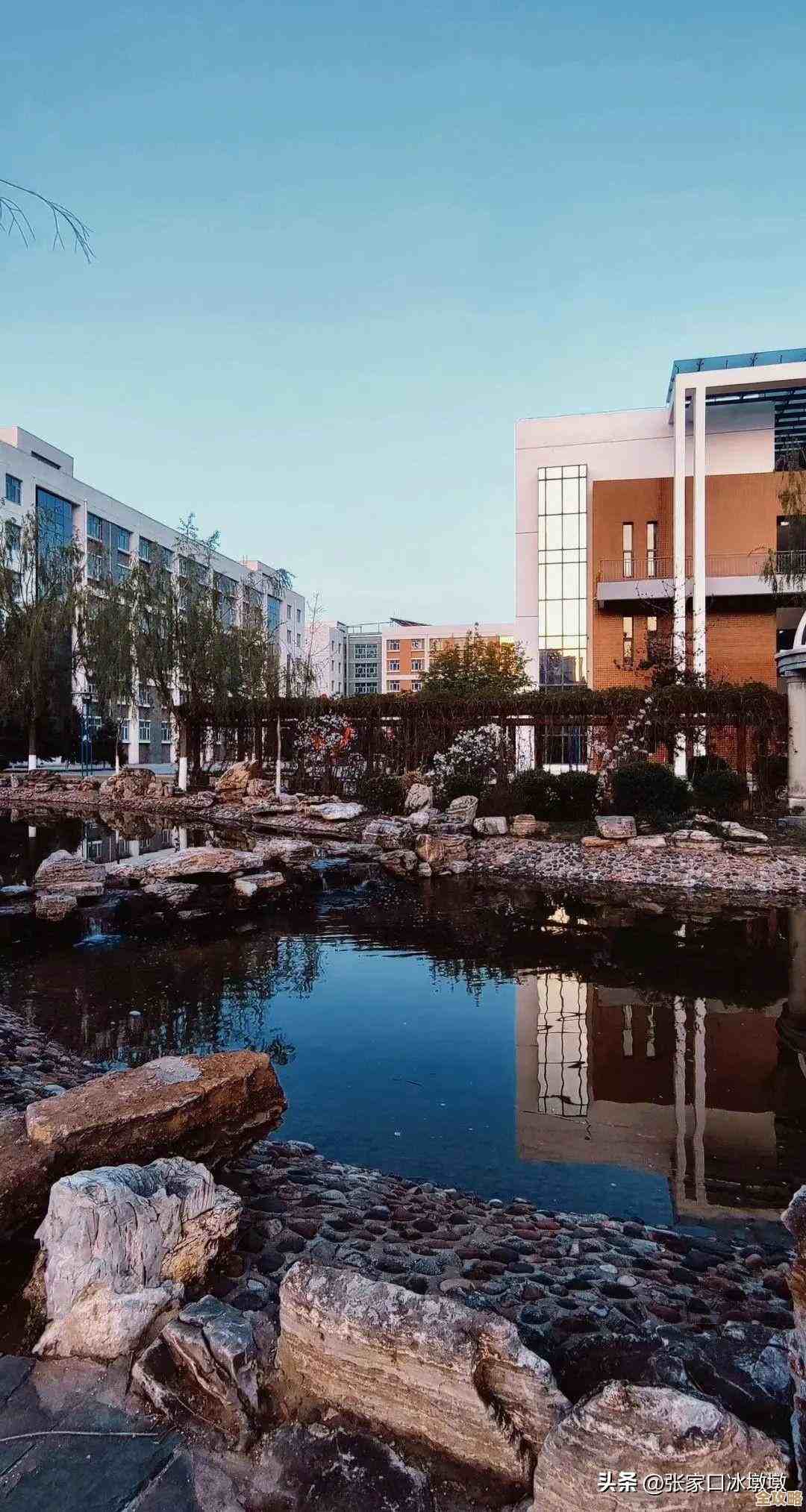 心动小镇手游扬帆起航任务怎么过.零基础也能快通