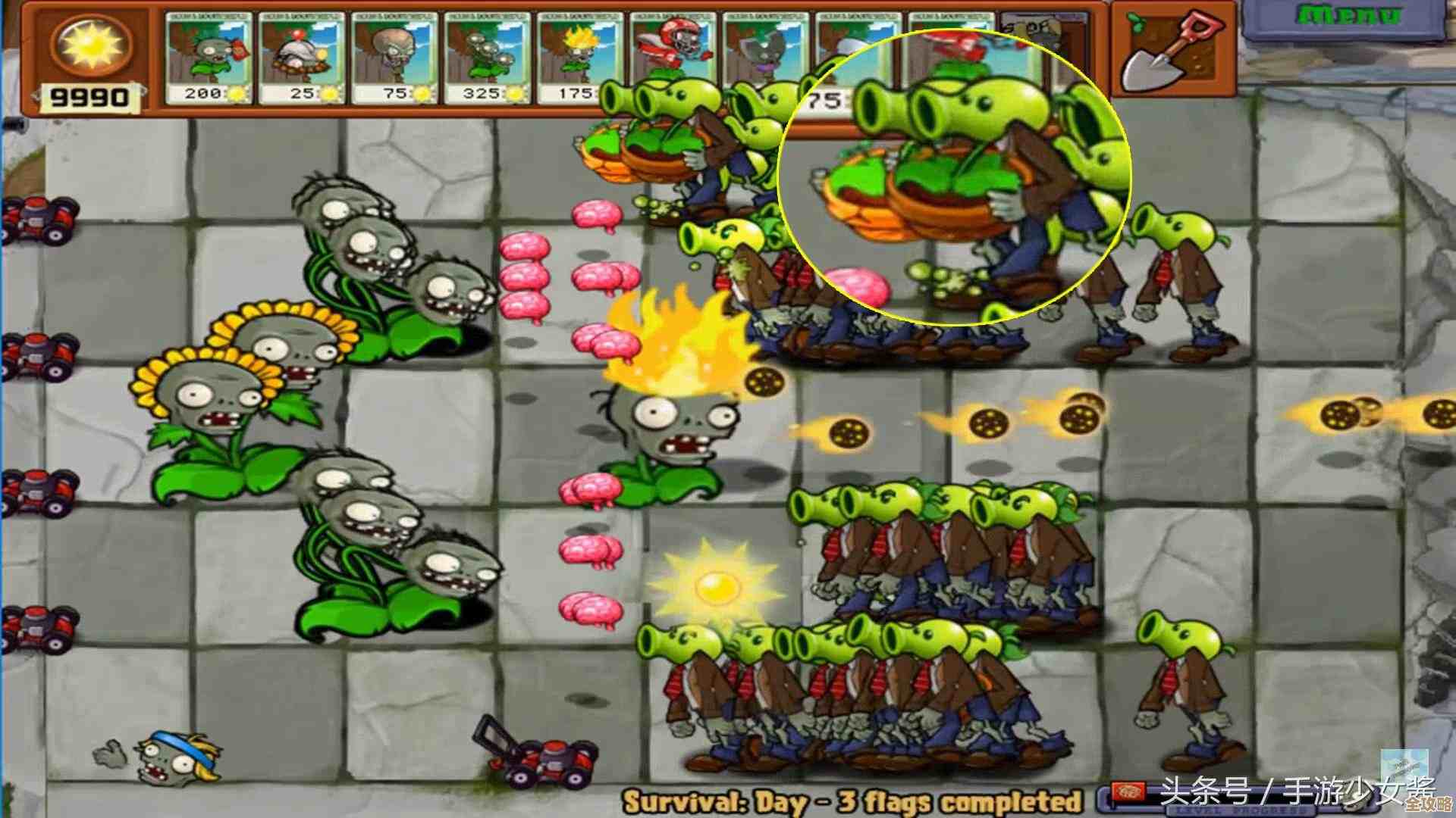 保卫向日葵传说植物强度一览，别光看技能说明