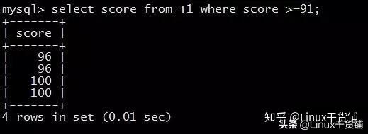 MySQL数据库那些命令怎么一步步实际操作起来，感觉还挺有讲究的