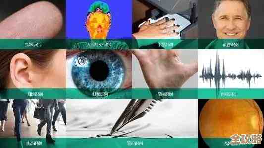 数据库到底是啥，简单说说它的定义和主要作用是什么