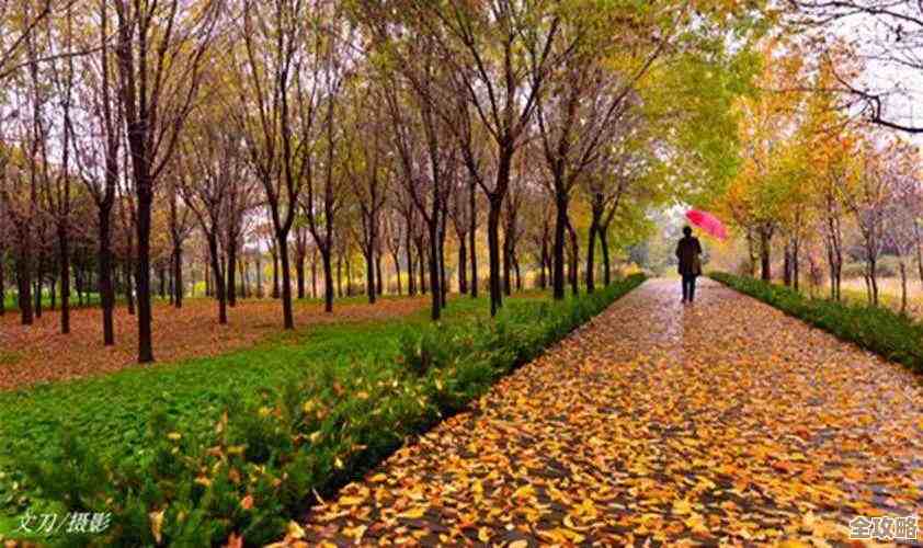 《鸣潮》另一种喧嚣]角色活动唤取内容一览，顺手碎碎念池子与奖励