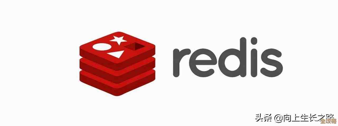 Redis查询那些事儿，快速定位指定数据怎么整才快又准