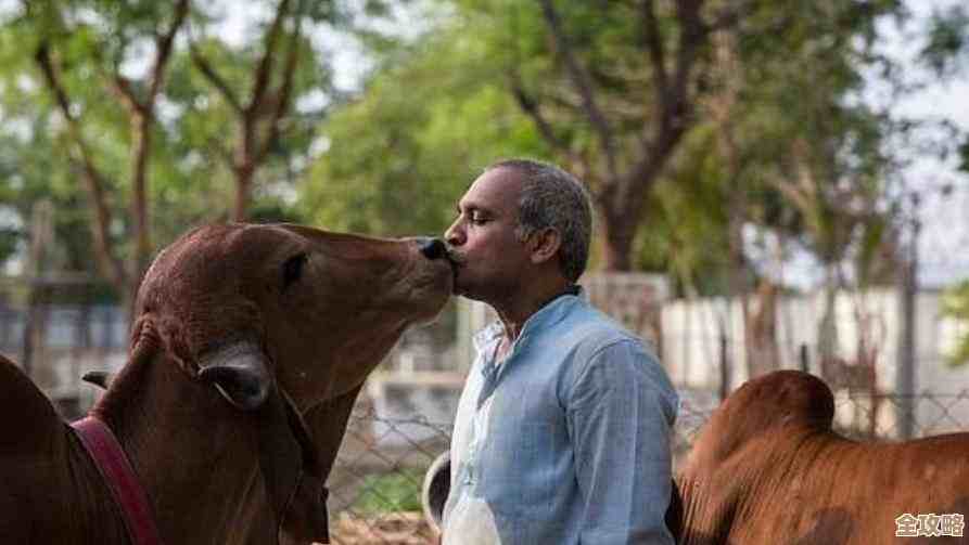 文明7宗教圣物箱信仰选择啥靠谱…老玩家的碎碎念和推荐