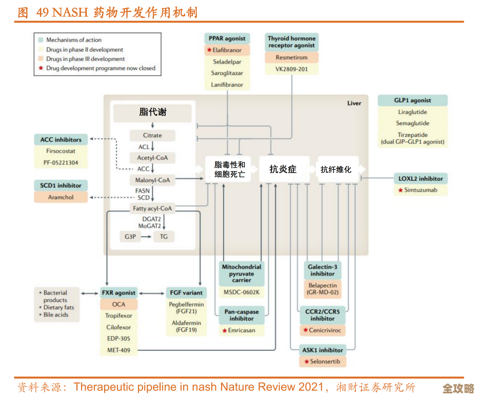 DB2里头并行索引怎么建和维护，操作步骤其实没那么复杂