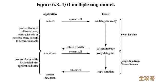 Redis里头那个IO复用技术到底怎么高效发挥作用，聊聊它的原理和应用