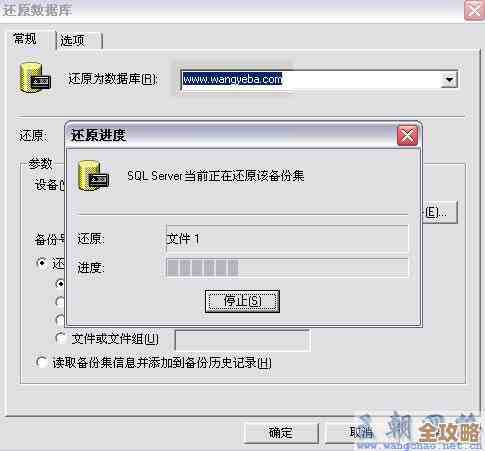 数据库密码突然用不了？教你几招快速恢复访问别慌着急