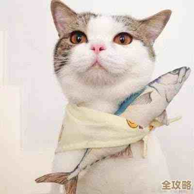 喵星猎人啾啾玩法速成，别太正规，先学会逗猫合成萌宠那几招就行啦