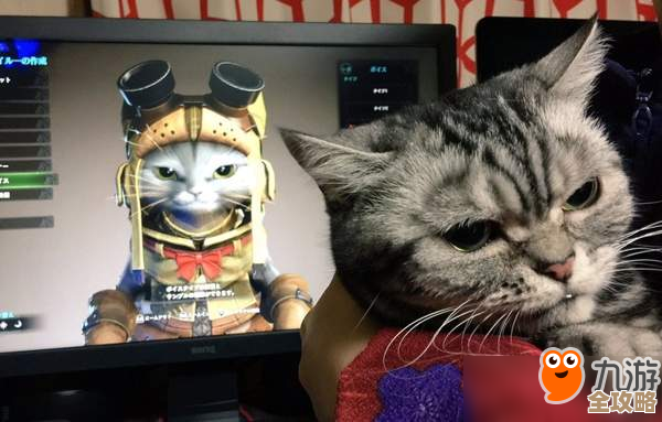 喵星猎人啾啾玩法速成，别太正规，先学会逗猫合成萌宠那几招就行啦