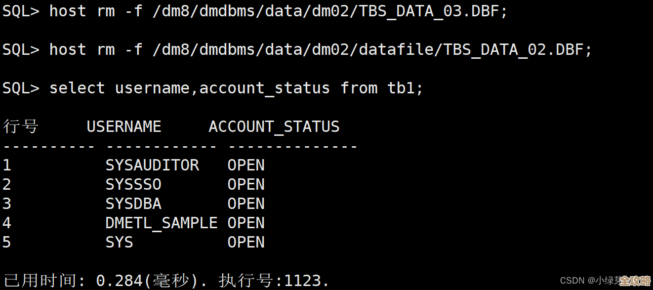 用SPT搞定OVFP里访问SQL Server数据库那些事儿，感觉还挺实用的