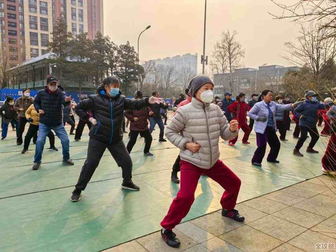 轻松获取八段锦高清视频，提升体质享受每一天的精力充沛！