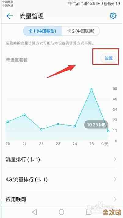 如何快速准确地查询手机流量使用情况指南