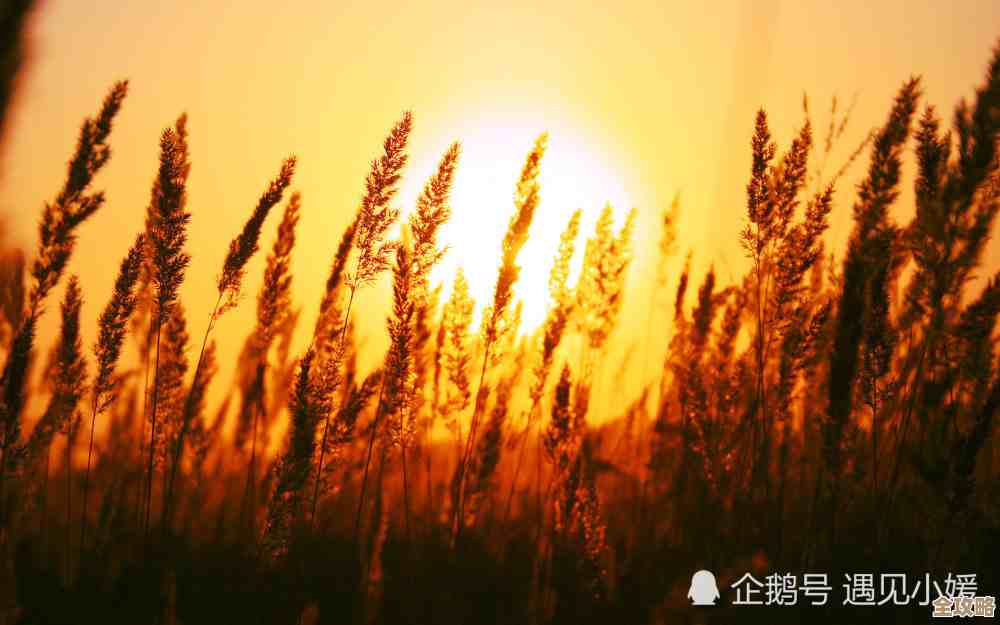 沉浸电脑风景壁纸,让自然之美洗去都市疲惫,静享心灵之旅 沉浸电脑风景壁纸,让自然之美洗去都市疲惫,静享心灵之旅