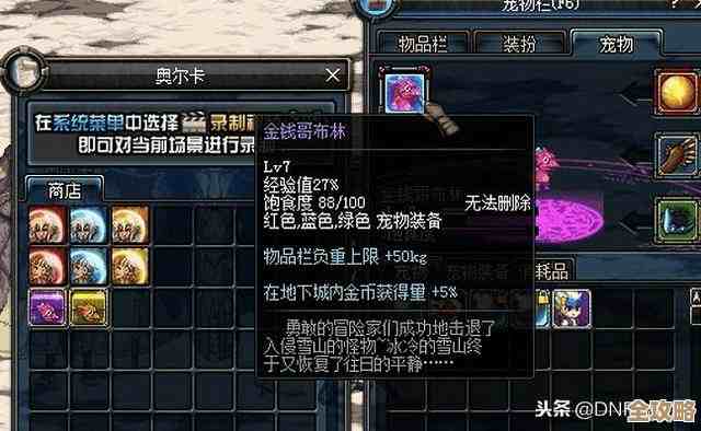 dnf梦的记忆里到底带哪个宠物才划算啊，纠结中