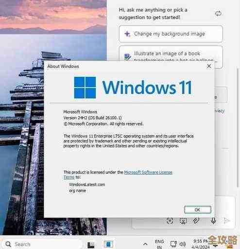 Windows 11 官方系统下载全流程详解与安装指引